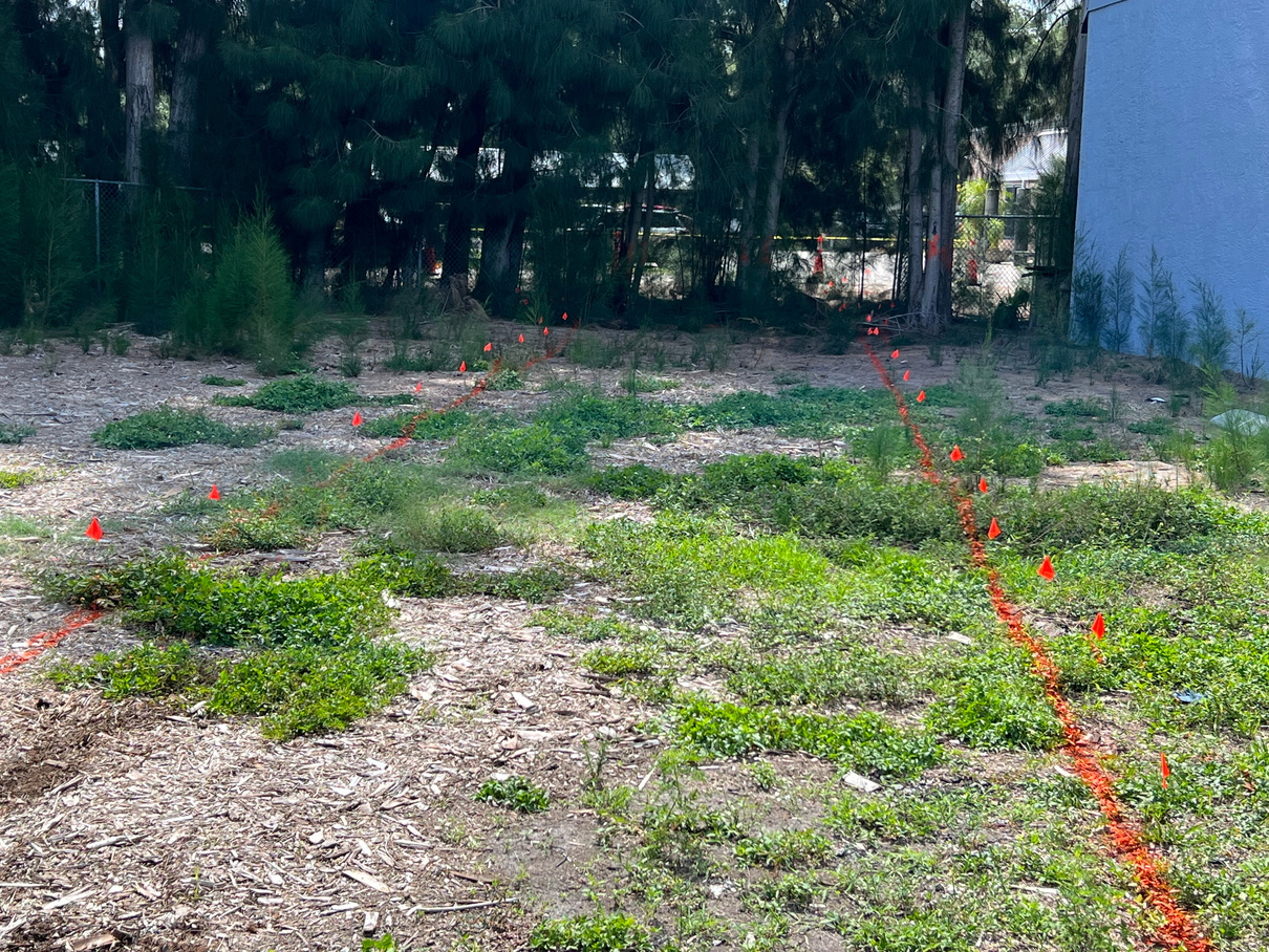 Sitework and Grading